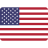 USA flag